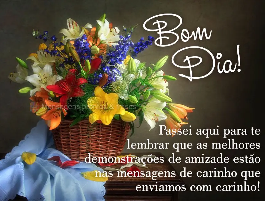 Passei aqui para te lembrar que as melhores demonstrações de amizade estão nas mensagens que enviamos com carinho! Bom dia! 