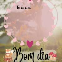 Tu és o meu abrigo
e o meu escudo;
e na tua palavra 
depositei a minha esperança. 
Salmos 119,114 Bom dia