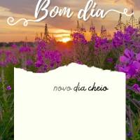 Um novo dia cheio de novas oportunidades para fazer novos planos e realizar novas conquistas. Bom dia!