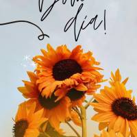 Que seu dia seja repleto de amor, paz e muita motivação! Bom dia!