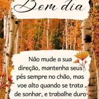 Não mude a sua direção, mantenha seus pés sempre no chão, mas voe alto quando se trata de sonhar, e trabalhe duro para esse sonho se realizar! Bom d...