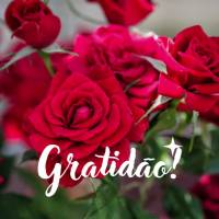 Gratidão por mais um dia de bênçãos!