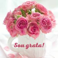 Sou grata! E levo comigo sempre coragem e determinação para que valha a pena toda a minha gratidão!