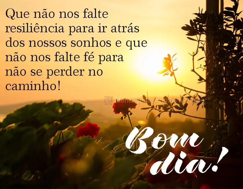 Que não nos falte resiliência para ir atrás dos nossos sonhos e que não nos falte fé para não se perder no caminho! Bom dia!