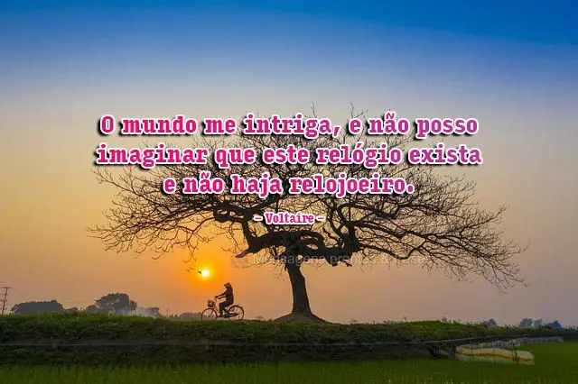 O mundo me intriga, e não posso imaginar que este relógio exista e não haja relojoeiro. 
 Voltaire