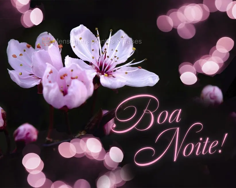 Boa noite!