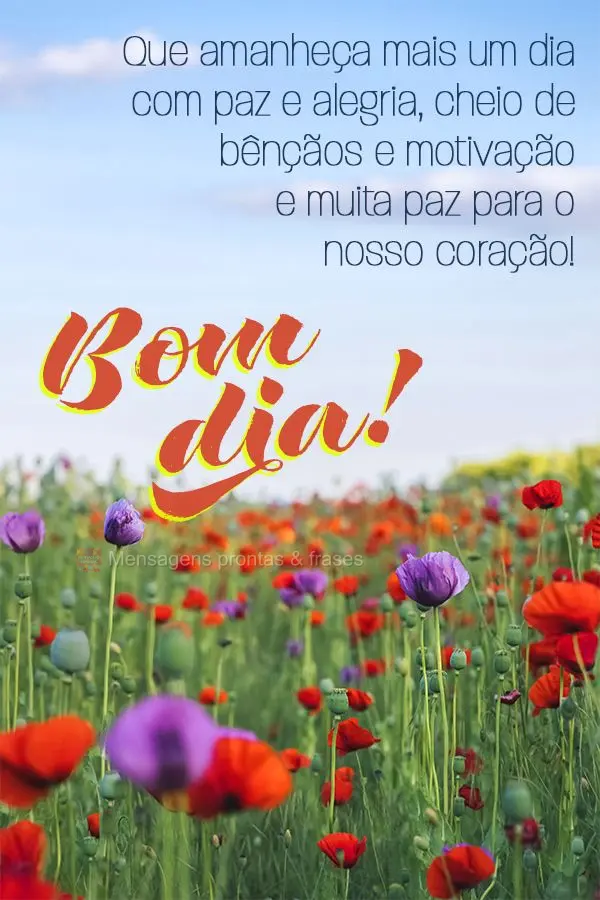 Que amanheça mais um dia com paz e alegria, cheio de bênçãos e motivação e muita paz para o nosso coração! Bom dia!