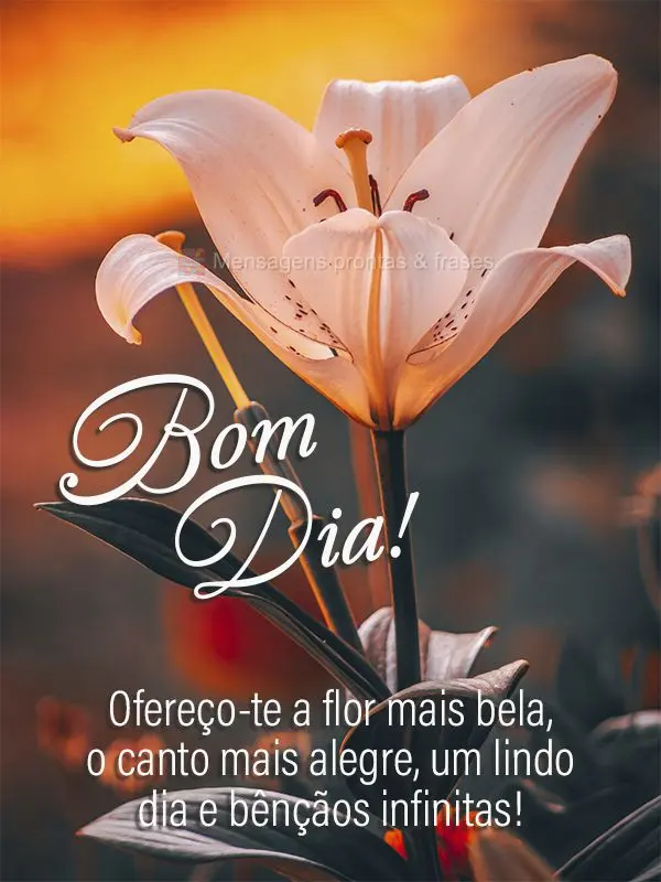 Ofereço-te a flor mais bela, o canto mais alegre, um lindo dia e bênçãos infinitas! Bom dia!