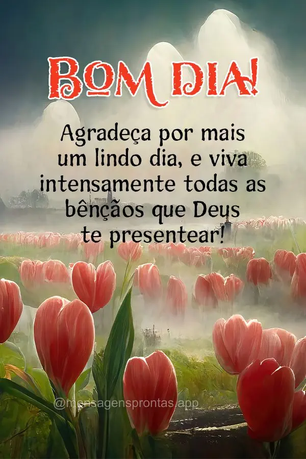 Agradeça por mais um lindo dia, e viva intensamente todas as bênçãos que Deus te presentear! Bom dia! 