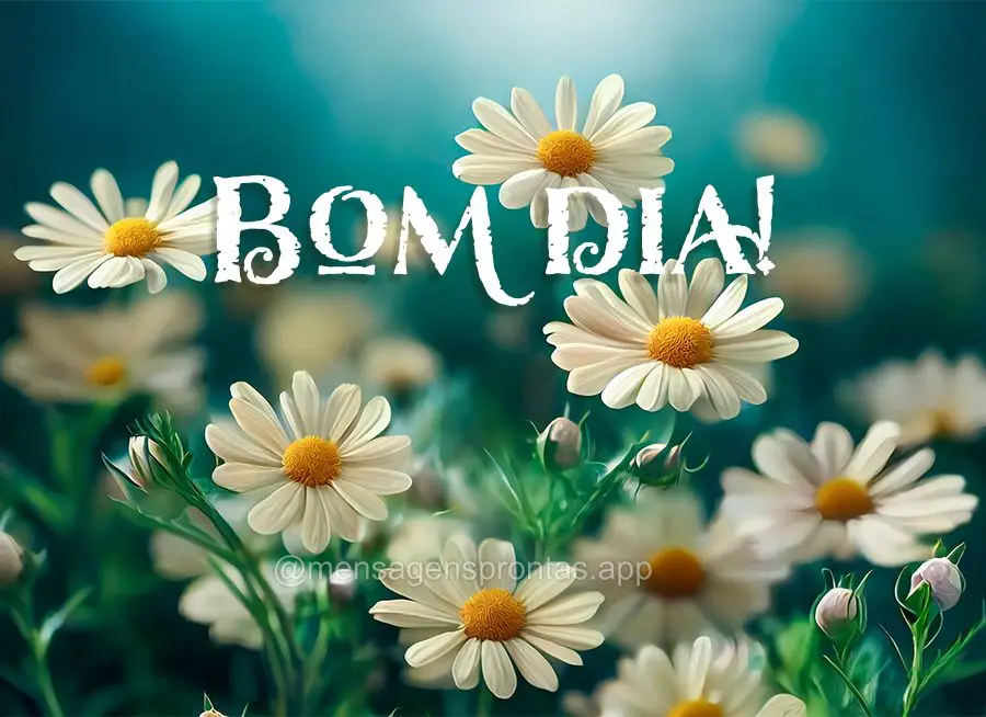 Bom dia!