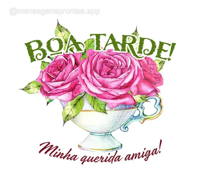 Minha querida amiga! Boa tarde!