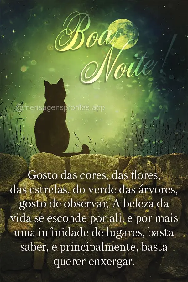 Gosto das cores, das flores, das estrelas, do verde das árvores, gosto de observar. A beleza da vida se esconde por ali, e por mais uma infinidade de lu...