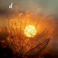 Comece seu dia acreditando no possível, quem acorda otimista passa a enxergar o lado bom da vida. E não esqueça de agradecer pelo lindo dia! Bom dia!...