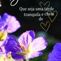 Que seja uma tarde tranquila e cheia de amor! Boa tarde!