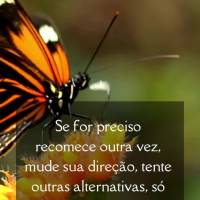 Se for preciso recomece outra vez, mude sua direção, tente outras alternativas, só não permaneça onde você não pode evoluir. Boa tarde!