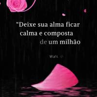“Deixe sua alma ficar calma e composta diante de um milhão de universos.” Boa noite!  Walt Whitman