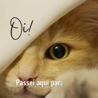 Oi! Passei aqui pra dizer:  Boa Semana para você!