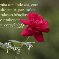 Tenha um lindo dia com muito amor, paz, saúde e todas as bênçãos que couber em seu coração! Feliz Terça-feira! 