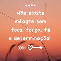 Não existe milagre sem foco, força, fé e determinação!
