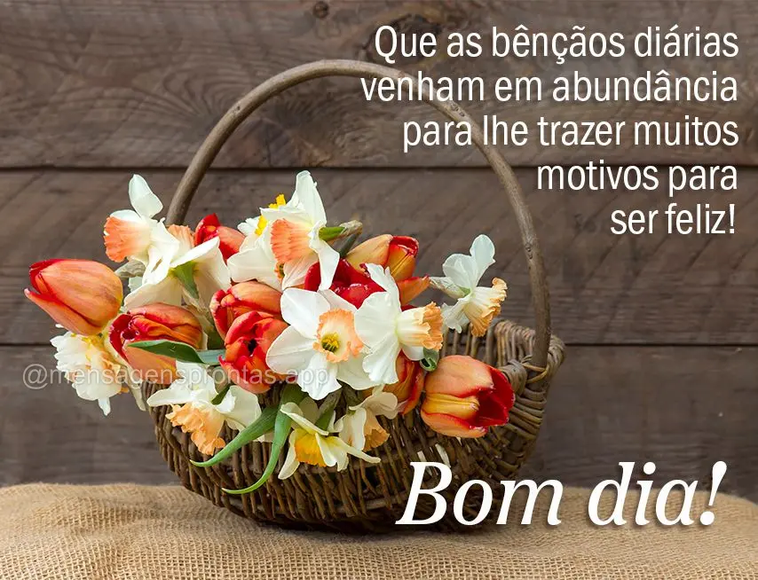 Que as bênçãos diárias venham em abundância para lhe trazer muitos motivos para ser feliz! Bom dia!