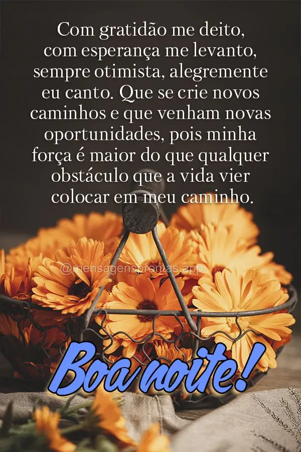 Com gratidão me deito, com esperança me levanto, sempre otimista, alegremente eu canto. Que se criem novos caminhos e que venham novas oportunidades, p...