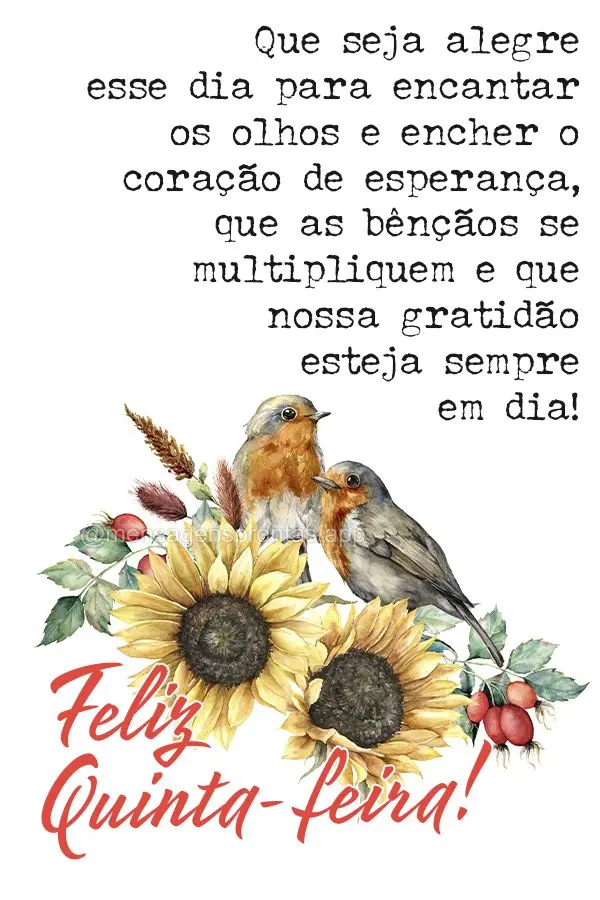 Que seja alegre esse dia para encantar os olhos e encher o coração de esperança, que as bênçãos se multipliquem e que nossa gratidão esteja sempre...