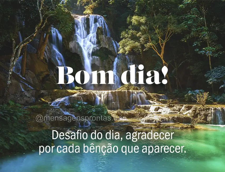 Desafio do dia, agradecer por cada bênção que aparecer. Bom dia! 