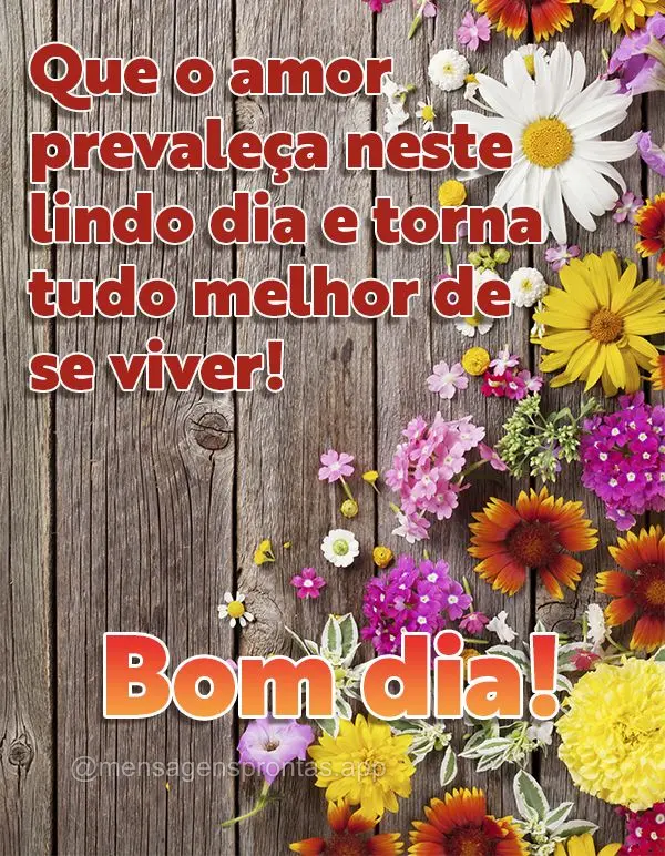 Que o amor prevaleça neste lindo dia e torna tudo melhor de se viver! Bom dia! 