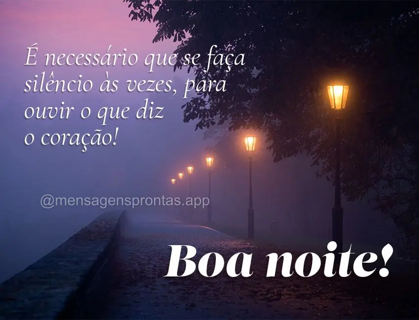 É necessário que se faça silêncio às vezes para ouvir o que diz o coração! Boa noite!