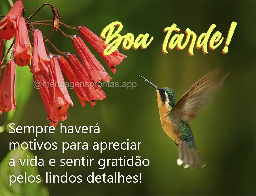 Sempre haverá motivos para apreciar a vida e sentir gratidão pelos lindos detalhes! Boa tarde!
