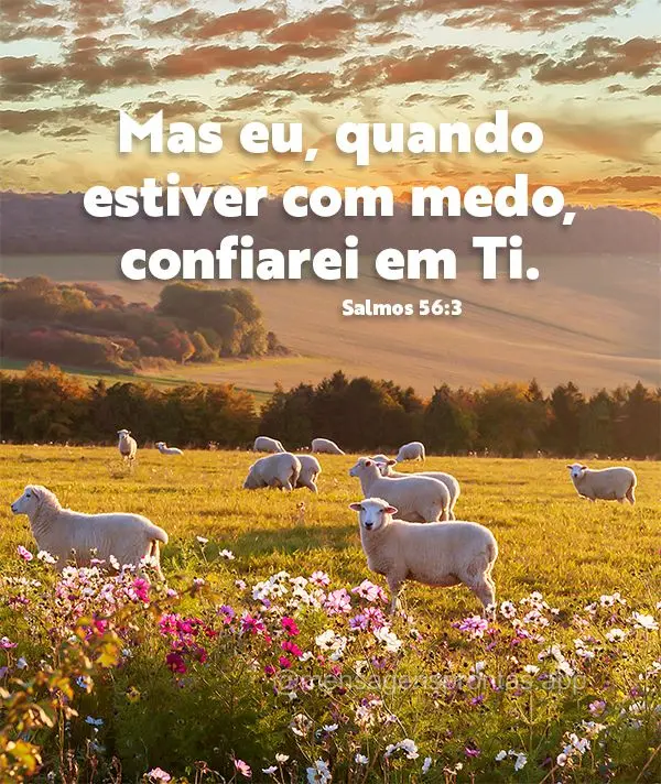 Mas eu, quando estiver com medo, confiarei em ti. Salmos 56:3