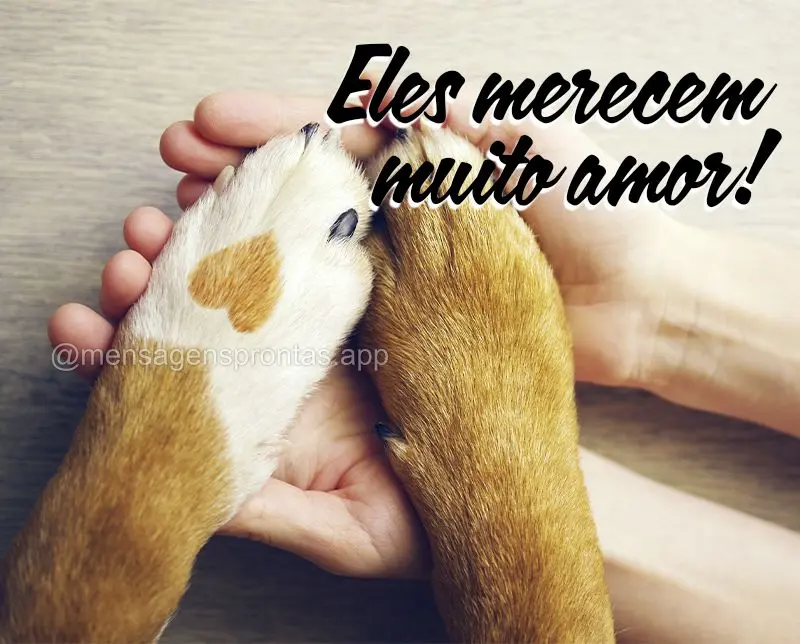 Eles merecem muito amor!