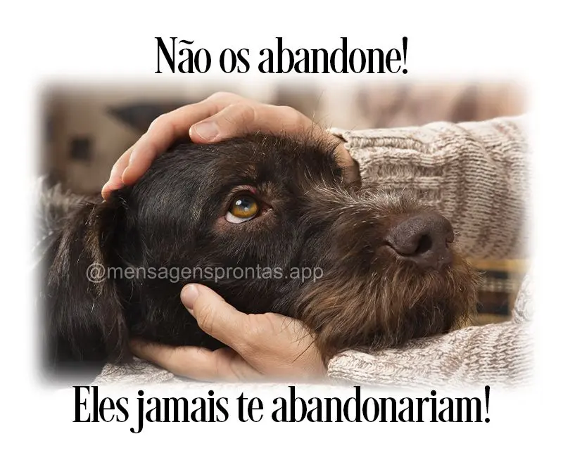 Não os abandone! Eles jamais te abandonariam!