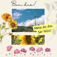 Meta do dia: Ser feliz! Bom dia! 