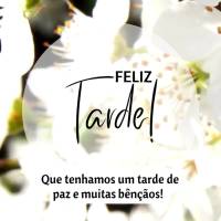 Que tenhamos um tarde de paz e muitas bênçãos! Feliz tarde!