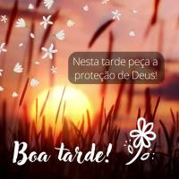 Nesta tarde peça a proteção de Deus! Boa tarde!
