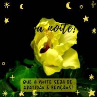 Que a noite seja de gratidão e bênçãos! Boa noite!