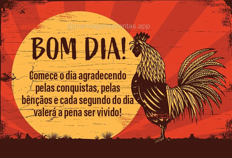 Comece o dia agradecendo pelas conquistas, pelas bênçãos e cada segundo do dia valerá a pena ser vivido! Bom dia!