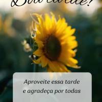 Aproveite essa tarde e agradeça por todas as bênçãos que Deus te presenteou! Boa tarde! 