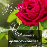 Felicidade é agradecer todos os dias pela manhã as bênçãos de Deus. Bom dia! 