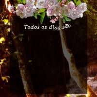 Todos os dias são para agradecer, as coisas que iremos receber, que venham novas bênçãos em nome do Senhor, e que ele aceite com carinho o meu louvor...