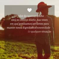 O valor do nosso trabalho está no esforço diário, nas vezes em que precisamos ser fortes para manter nossa dignidade e honestidade sempre à frente de...
