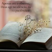 Apenas ore o observe, Deus age no silêncio, na calma, na paciência e no seu tempo! Boa noite!
