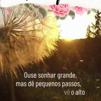 Ouse sonhar grande, mas dê pequenos passos, porque ninguém vê o alto da montanha, mas se olhar para trás sinta-se orgulhoso por tudo que já passou e...