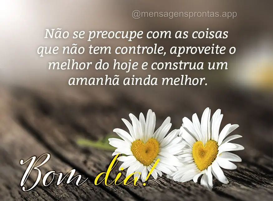 Não se preocupe com as coisas que não tem controle, aproveite o melhor do hoje e construa um amanhã ainda melhor. Bom dia!