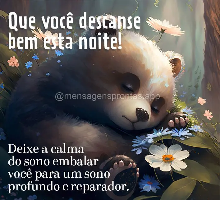 Deixe a calma do sono embalar você para um sono profundo e reparador. Que você descanse bem esta noite!