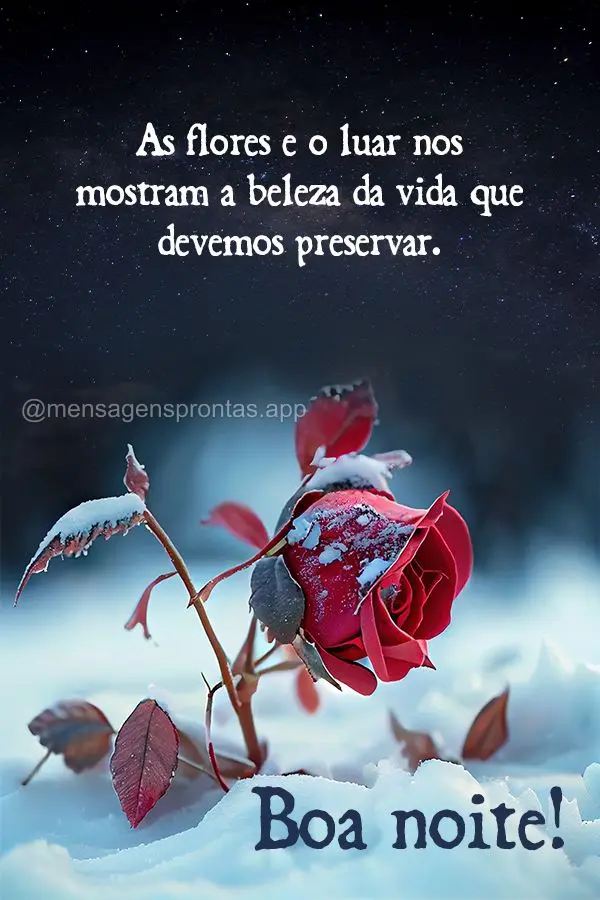 As flores e o luar nos mostram a beleza da vida que devemos preservar. Boa noite! 