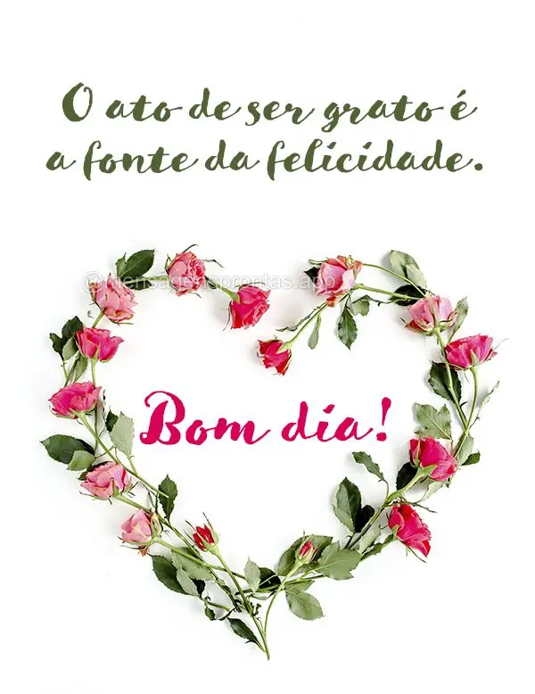 O ato de ser grato é a fonte da felicidade. Bom dia!