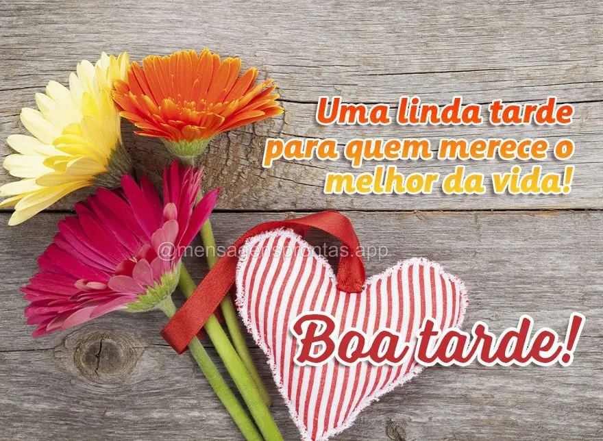 Uma linda tarde para quem merece o melhor da vida! Boa tarde!