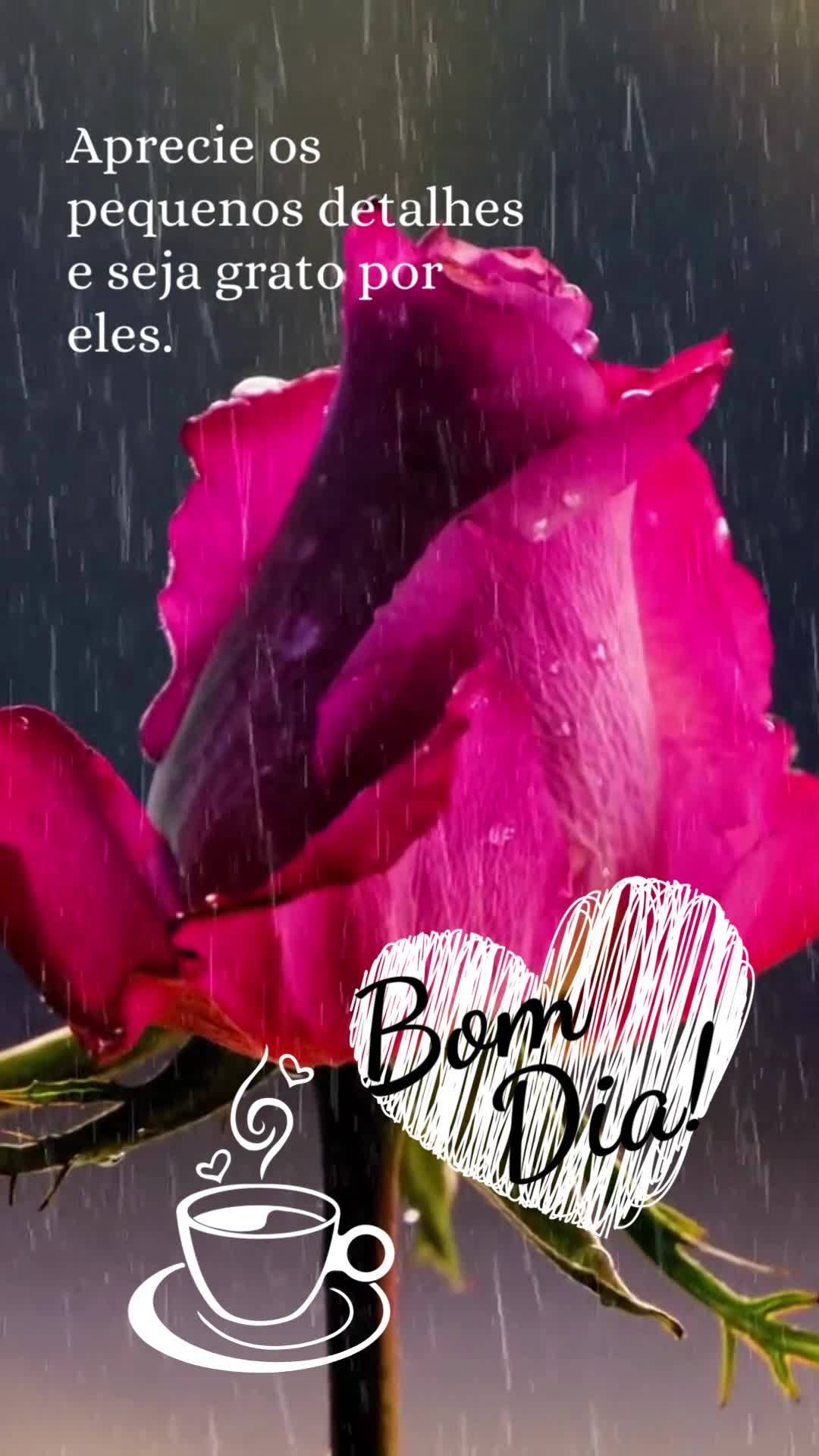 Aprecie os pequenos detalhes e seja grato por eles. Bom dia!